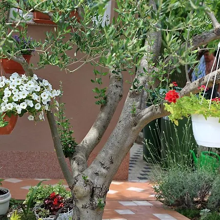 Melita Διαμέρισμα